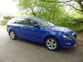 ŠKODA OCTAVIA at Rogate Garage Petersfield
