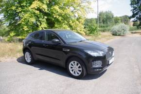 JAGUAR E PACE at Rogate Garage Petersfield