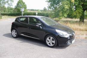 RENAULT CLIO at Rogate Garage Petersfield