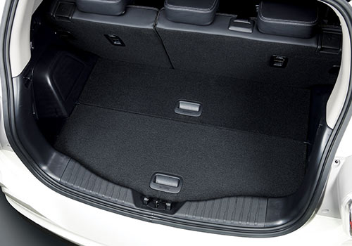 Luggage Cover